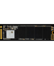 حافظه SSD biostar مدل M700 256